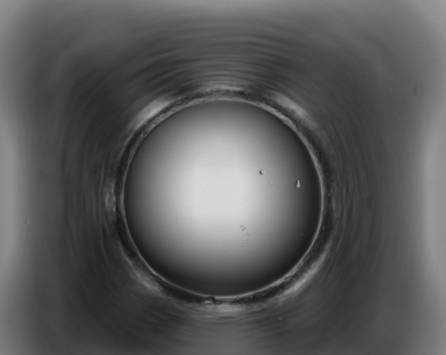 X0000086751113200704201720