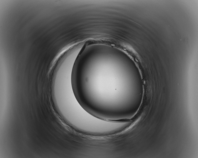 X0000086751114200704201720