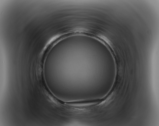 X0000086751115200704201720