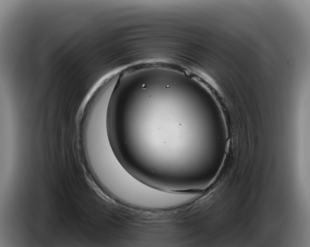 X0000086751116200704201720