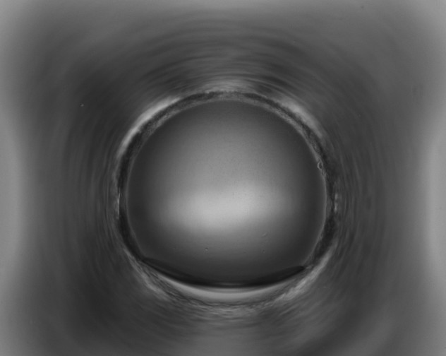 X0000086751117200704201720