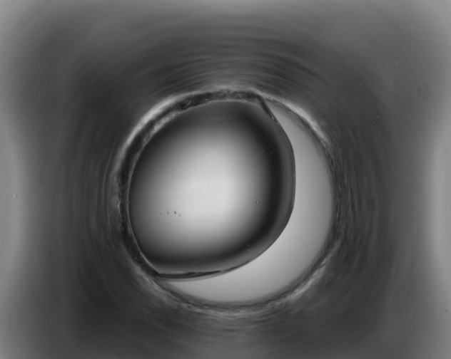 X0000086751118200704201720