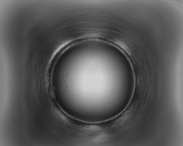 X0000086751119200704201720