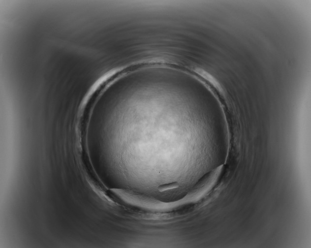 X0000086751120200704201720