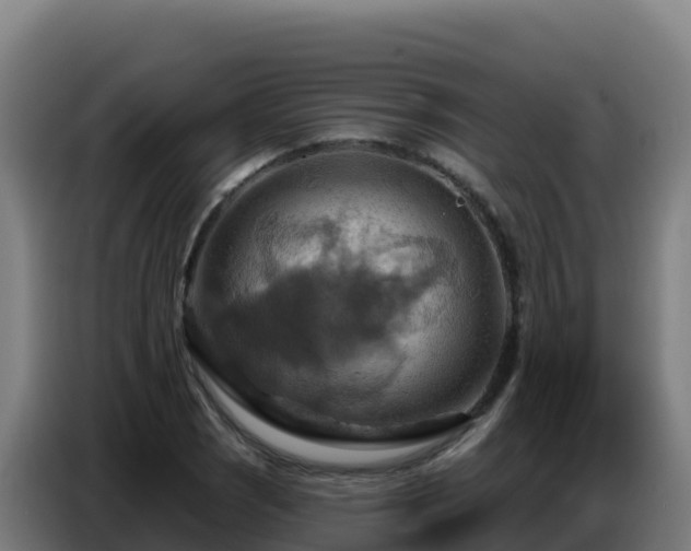 X0000086751121200704201720