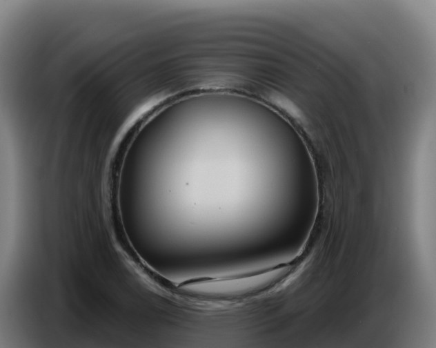 X0000086751122200704201720