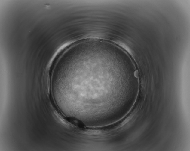 X0000086751123200704201720