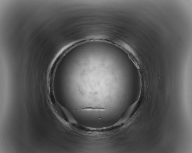 X0000086751124200704201720