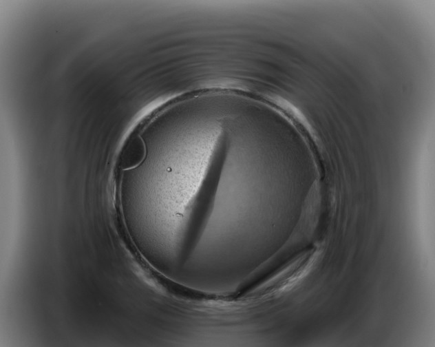 X0000086751125200704201720