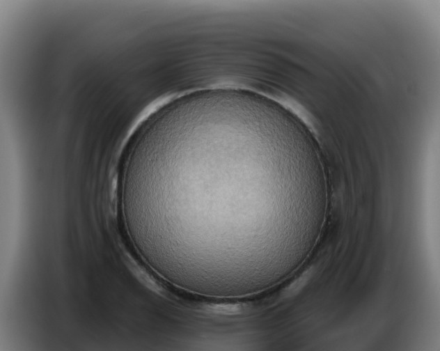 X0000086751126200704201720