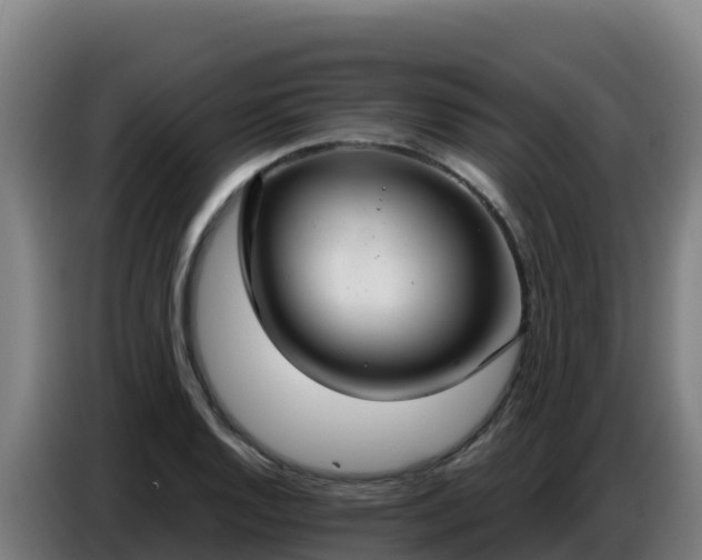 X0000086751128200704201720