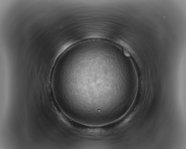 X0000086751129200704201720