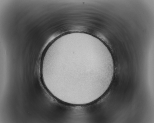 X0000086751130200704201720
