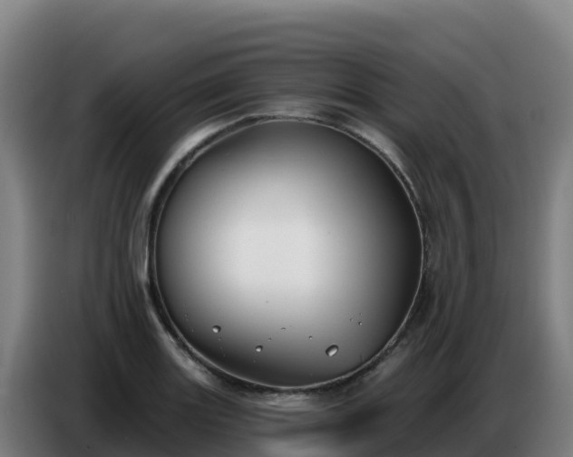 X0000086751131200704201720