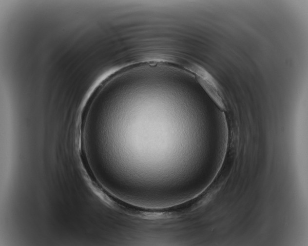 X0000086751132200704201720