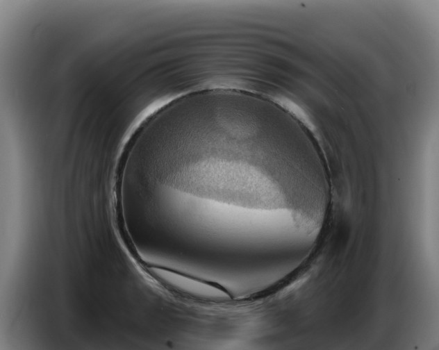X0000086751133200704201720