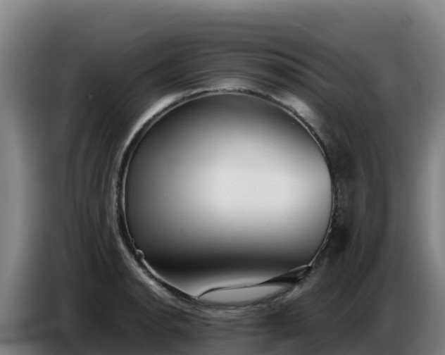 X0000086751134200704201720