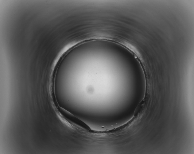 X0000086751136200704201720