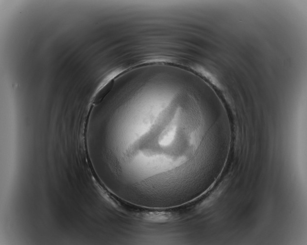 X0000086751137200704201720