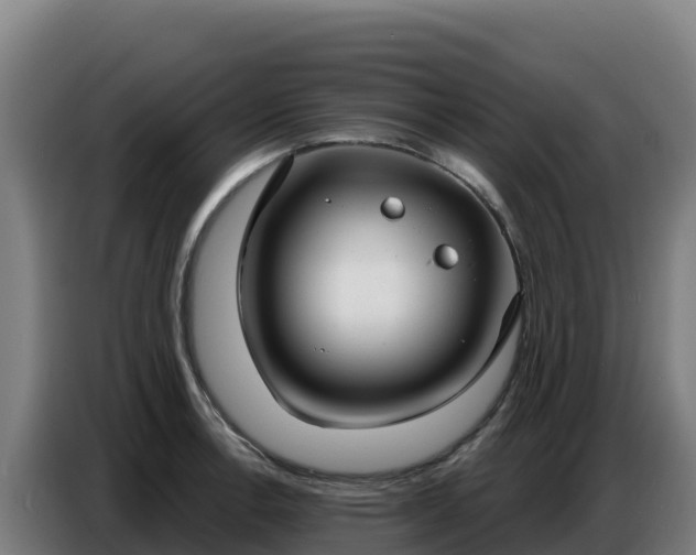 X0000086751138200704201720