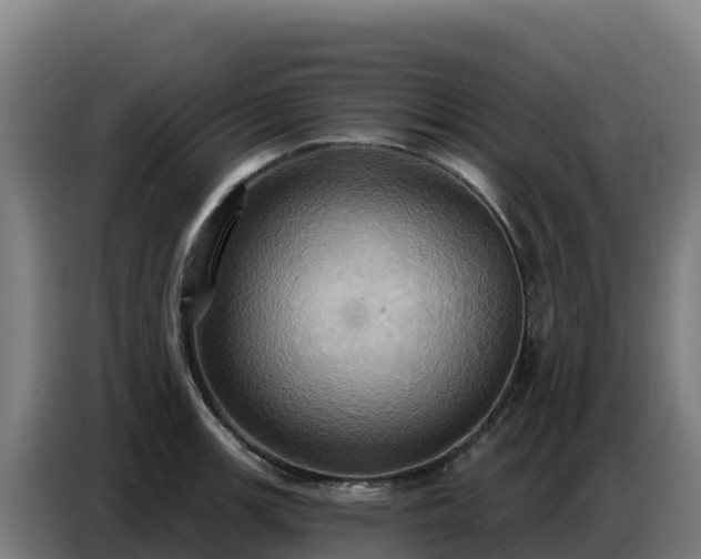X0000086751139200704201720