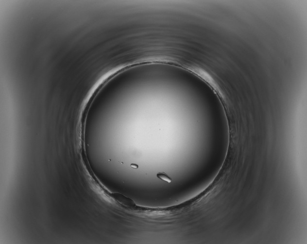 X0000086751140200704201720