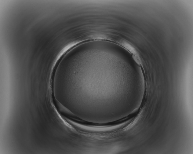 X0000086751141200704201720