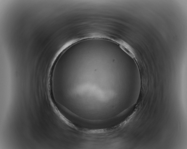 X0000086751142200704201720
