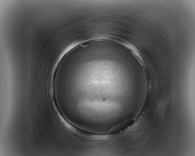 X0000086751143200704201720