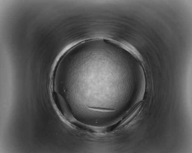 X0000086751144200704201720