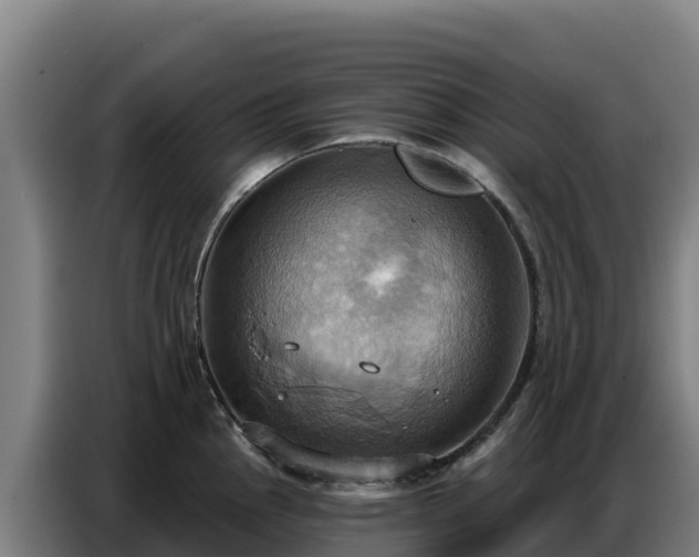 X0000086751145200704201720