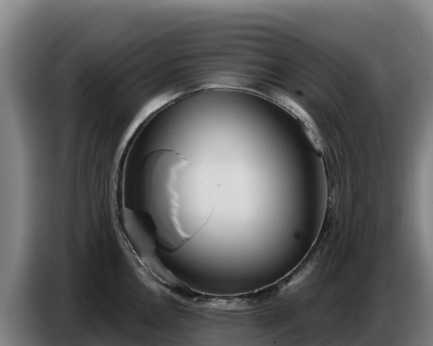 X0000086751146200704201720