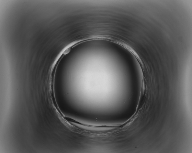 X0000086751148200704201720