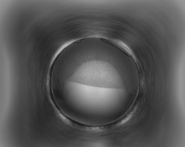 X0000086751149200704201720