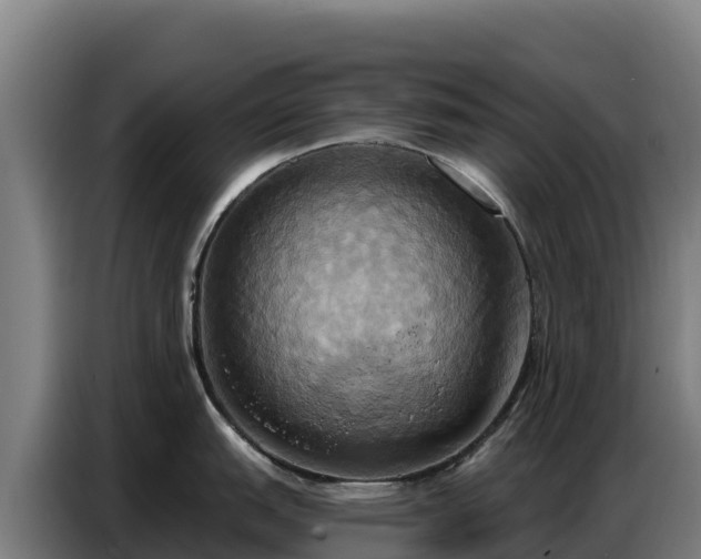 X0000086751151200704201720