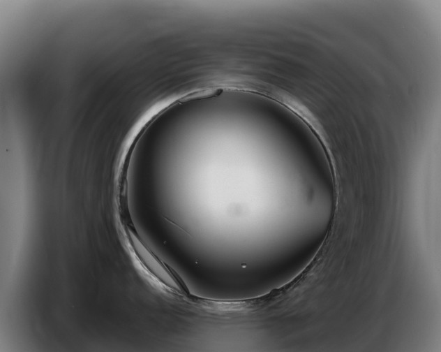X0000086751152200704201720