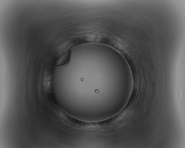 X0000086751154200704201720