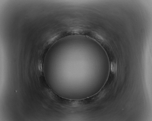 X0000086751155200704201720
