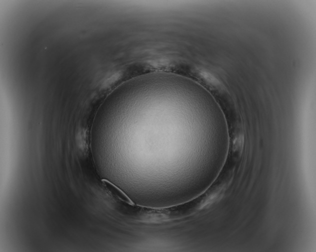 X0000086751156200704201720