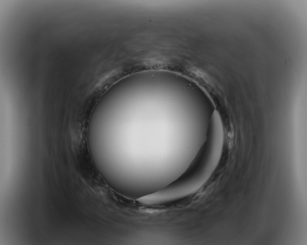 X0000086751157200704201720