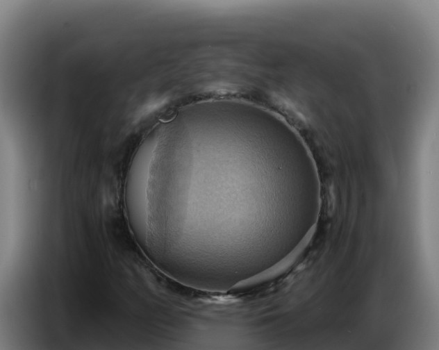 X0000086751158200704201719