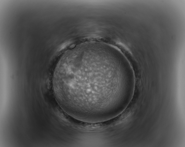 X0000086751159200704201719