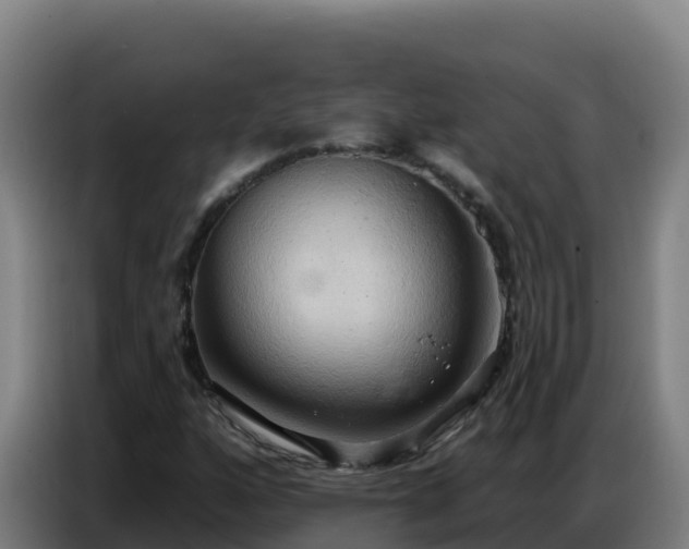 X0000086751160200704201719