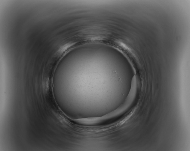 X0000086751161200704201719