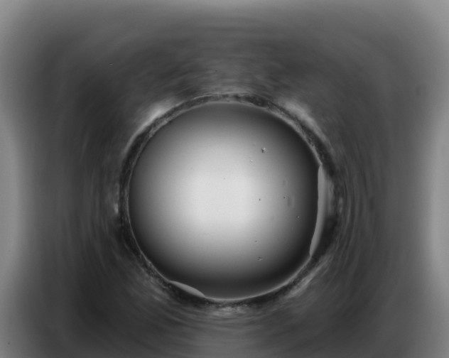 X0000086751165200704201719