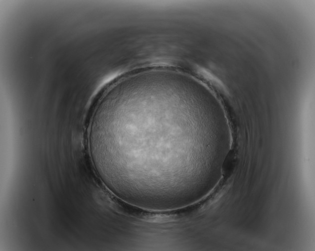 X0000086751166200704201719