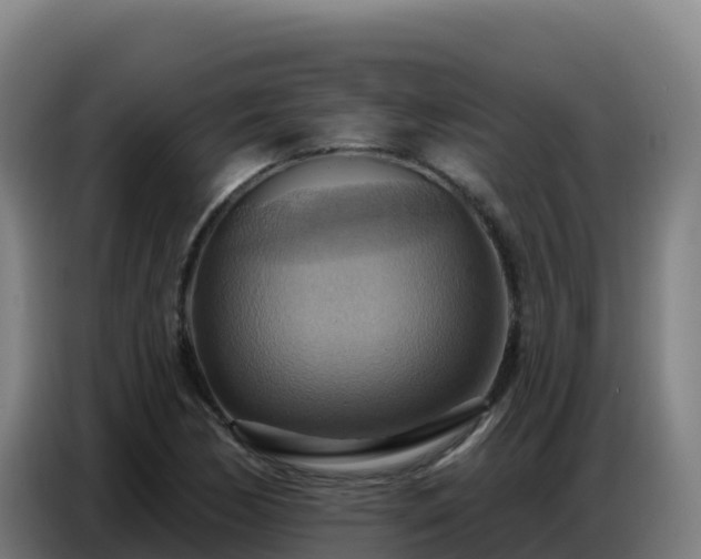 X0000086751170200704201719