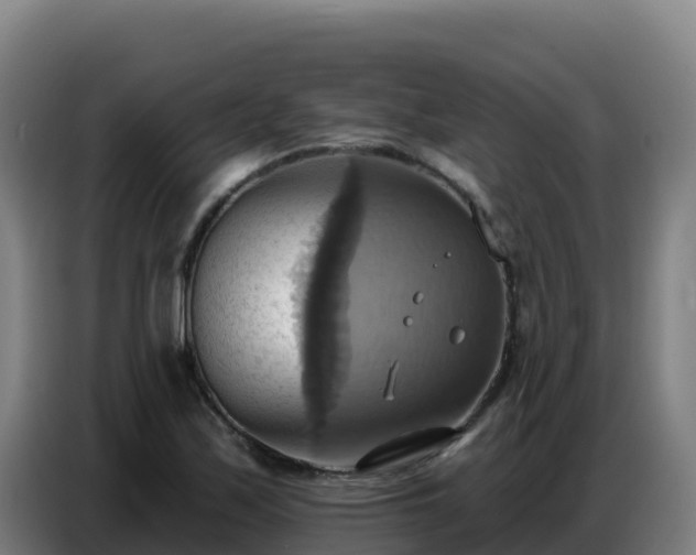 X0000086751171200704201719
