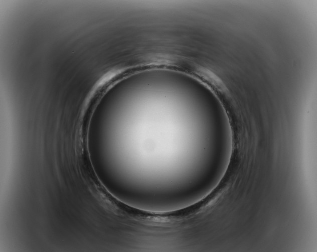 X0000086751172200704201719