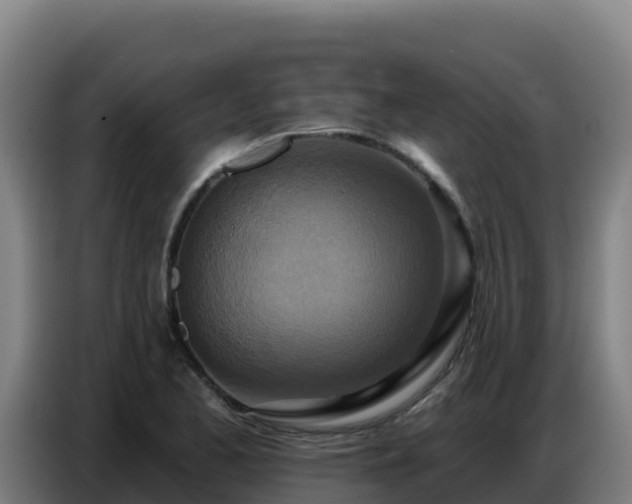 X0000086751173200704201719